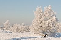 Winterlandschap PVH3-16823