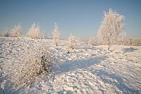 Winterlandschap PVH3-16825