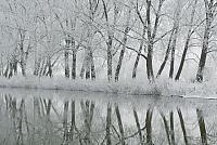 Winterse bomenrij met reflectie PVH2-21639