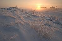 Zonsopkomst Kootwijkerzand PVH70a-0343