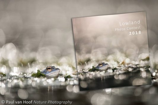Lowland Photo Contest
